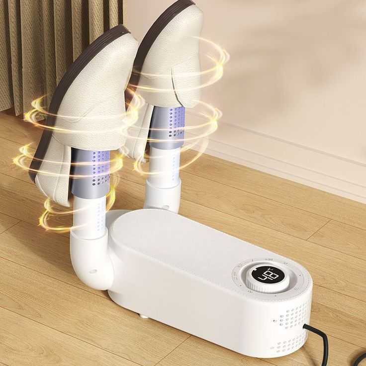 Electric Shoe Dryer & Boot Warmer