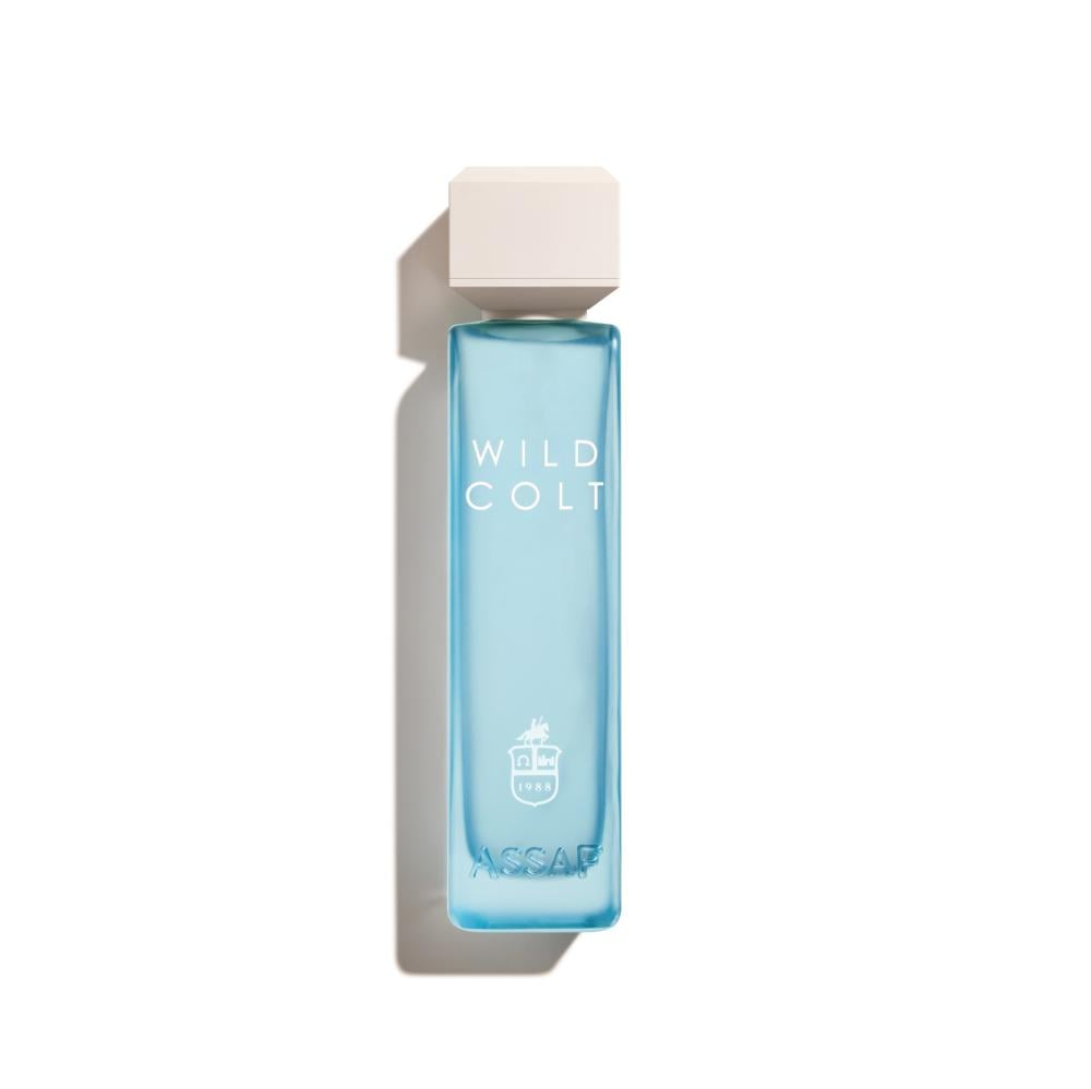 Wild Colt perfume (عطر 200 مل) (Copy)
